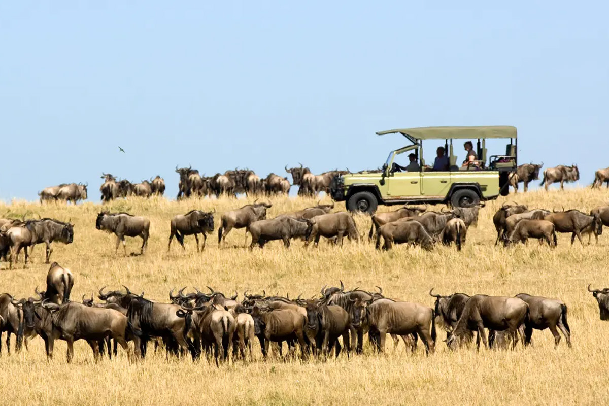 Tanzania during February